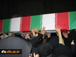 میزبانی لاله ها