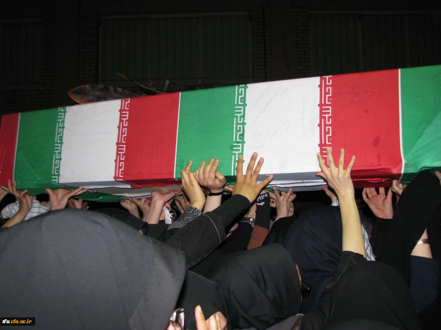 میزبانی لاله ها