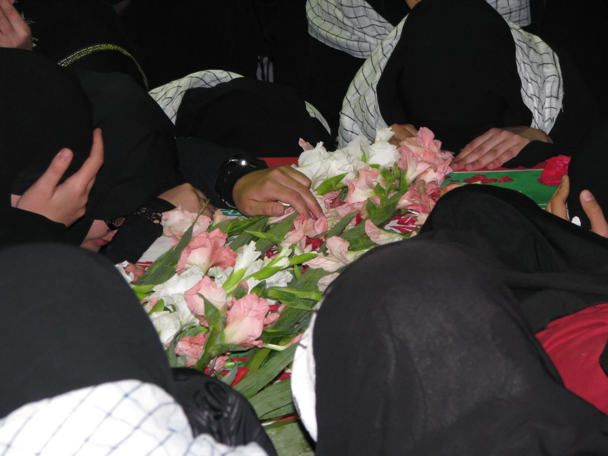 میزبانی لاله ها