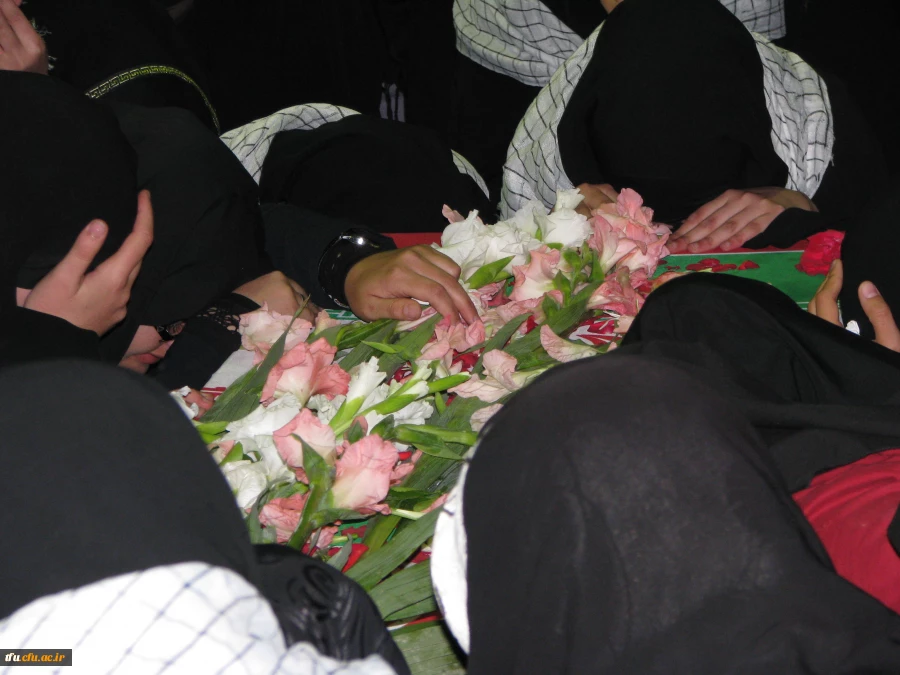 میزبانی لاله ها