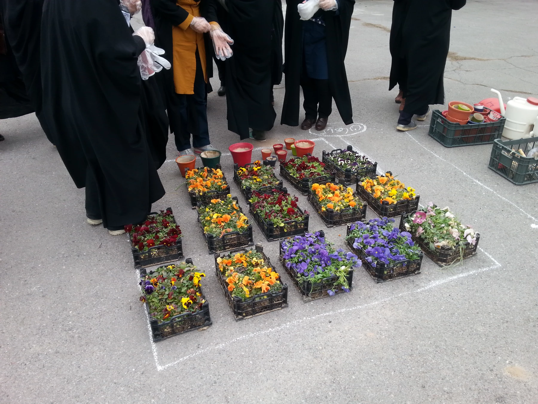 کاشت نهال در فضای سبز پردیس فاطمه الزهرا(س) به مناسبت روز درختکاری  2