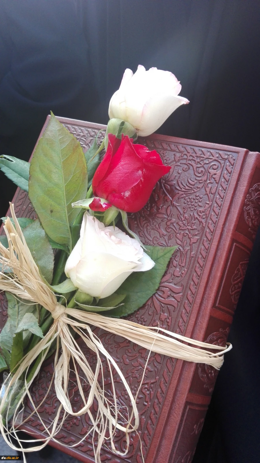 دیدار با خانواده ی شهید مدافع حرم صادق عدالت اکبری 5