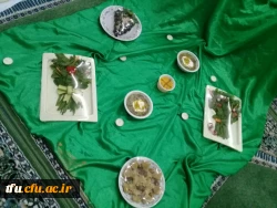 به همت واحد فرهنگی و با همکاری دفتر نهاد نمایندگی مقام معظم رهبری در پردیس برگزار شد.