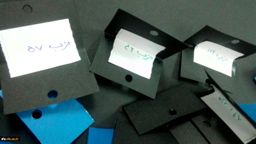 به مناسبت هفته قرآنی در پردیس فاطمه الزهرا(س) برگزار شد.