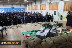 پردیس فاطمه الزهرا(س) میزبان لاله ها