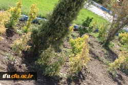 به همت معاونت توسعه منابع ایجاد محیط با نشاط برای دانشجویان در پردیس فاطمه الزهرا(س) محقق شد.