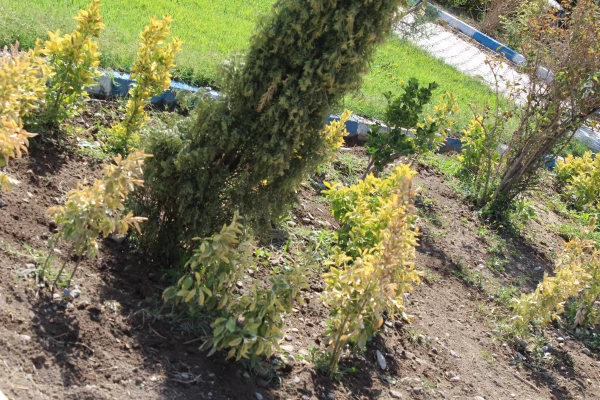 به همت معاونت توسعه منابع ایجاد محیط با نشاط برای دانشجویان در پردیس فاطمه الزهرا(س) محقق شد.