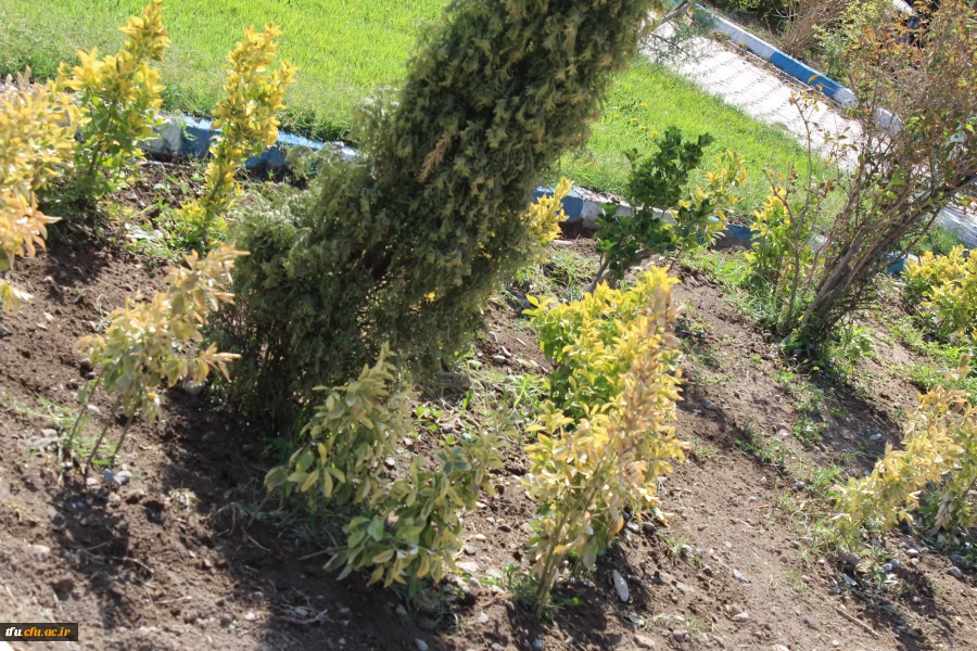 به همت معاونت توسعه منابع ایجاد محیط با نشاط برای دانشجویان در پردیس فاطمه الزهرا(س) محقق شد.