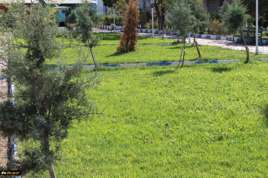 به همت معاونت توسعه منابع ایجاد محیط با نشاط برای دانشجویان در پردیس فاطمه الزهرا(س) محقق شد.