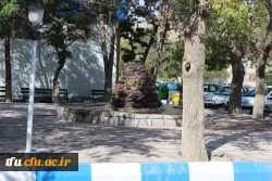 به همت معاونت توسعه منابع ایجاد محیط با نشاط برای دانشجویان در پردیس فاطمه الزهرا(س) محقق شد.