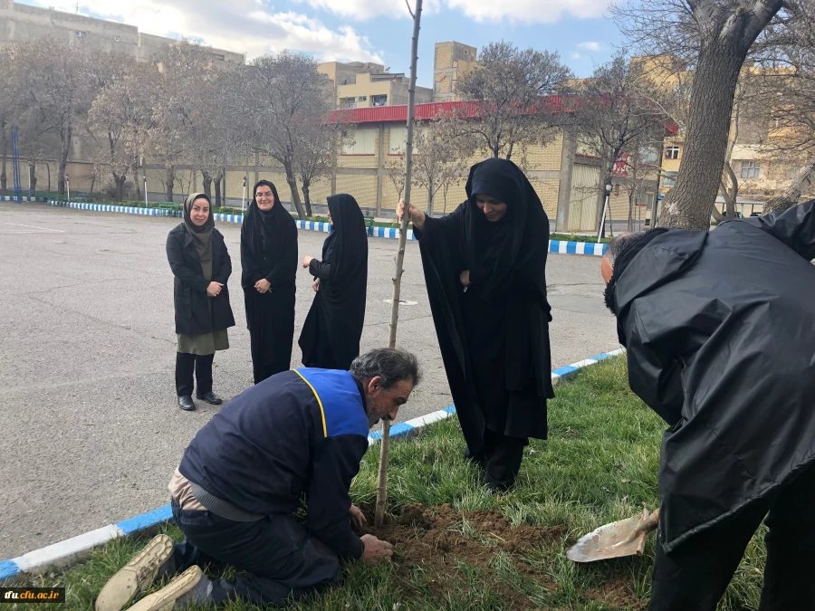 آئین کاشت نهال به مناسبت گرامیداشت 15 اسفند توسط همکاران پردیس فاطمه الزهرا(س) 2