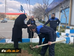 آئین کاشت نهال به مناسبت گرامیداشت 15 اسفند توسط همکاران پردیس فاطمه الزهرا(س) 3