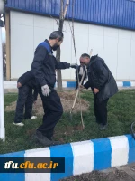 آئین کاشت نهال به مناسبت گرامیداشت 15 اسفند توسط همکاران پردیس فاطمه الزهرا(س) 4