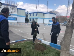 آئین کاشت نهال به مناسبت گرامیداشت 15 اسفند توسط همکاران پردیس فاطمه الزهرا(س) 4