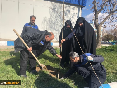 به مناسبت گرامیداشت 15 اسفند برگزار شد:

آئین کاشت نهال  توسط همکاران پردیس فاطمه الزهرا(س)
