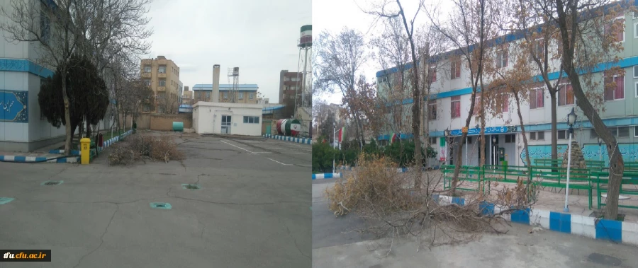 به همت معاونت توسعه منابع و امور دانشجویی انجام شد:

هرس درختان پردیس فاطمه الزهرا(س) 2