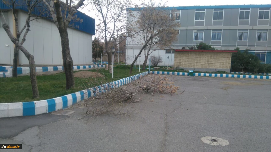 به همت معاونت توسعه منابع و امور دانشجویی انجام شد:

هرس درختان پردیس فاطمه الزهرا(س) 2