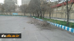 به همت معاونت توسعه منابع و امور دانشجویی انجام شد:

هرس درختان پردیس فاطمه الزهرا(س) 2