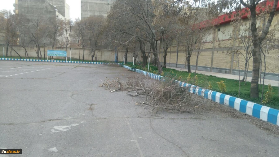 به همت معاونت توسعه منابع و امور دانشجویی انجام شد:

هرس درختان پردیس فاطمه الزهرا(س) 2