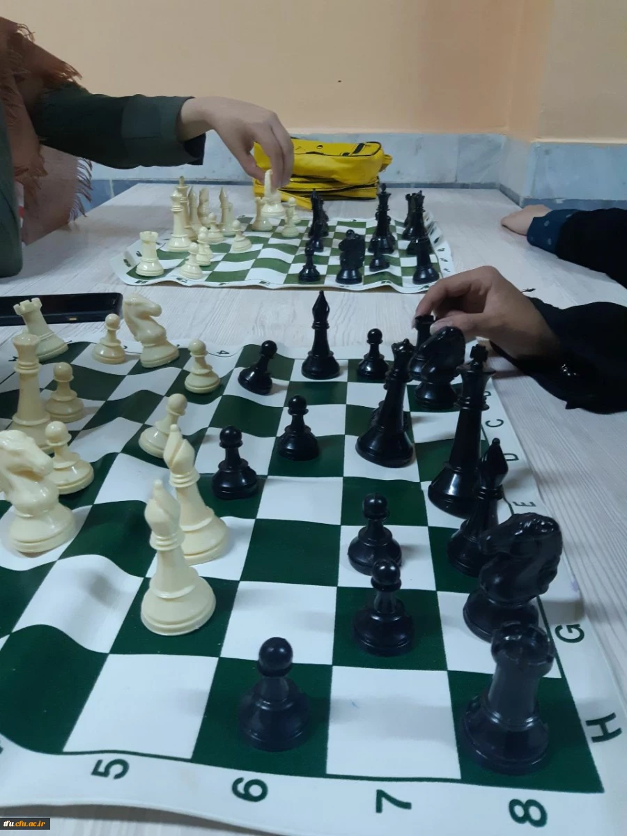 مسابقات مختلف در سراها و سالن های ورزشی 8