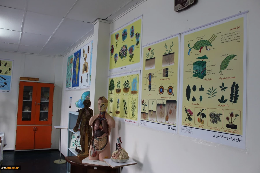 اولین آزمایشگاه علوم تجربی دانشگاه فرهنگیان(ویژه دانشجومعلمان رشته ابتدایی) 4