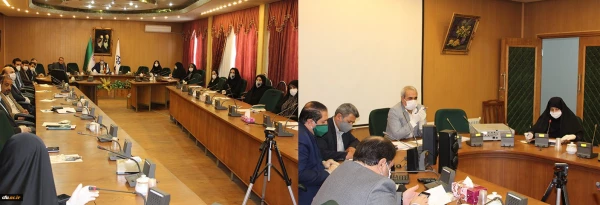 برگزاری جلسه شورای آموزش گروه های آموزشی ادبیات فارسی در مورد آموزش های مجازی 2