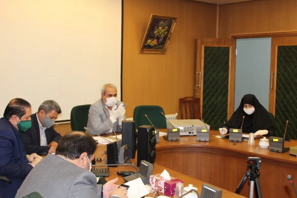 برگزاری جلسه شورای آموزش گروه های آموزشی ادبیات فارسی در مورد آموزش های مجازی 5