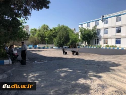 عملیات آسفالت ریزی محوطه پردیس فاطمه الزهرا(س)  تبریز
 2