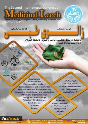 دومین همایش و طب سنتی زالو درمانی