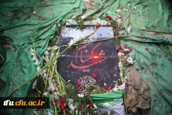 لالایی فرهنگیان تبریز بر پیکر یک شهید گمنام 14