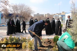 کاشت 19 نهال  به یمن وجود شهید گمنام 19ساله پردیس فاطمه الزهرا(س) 3