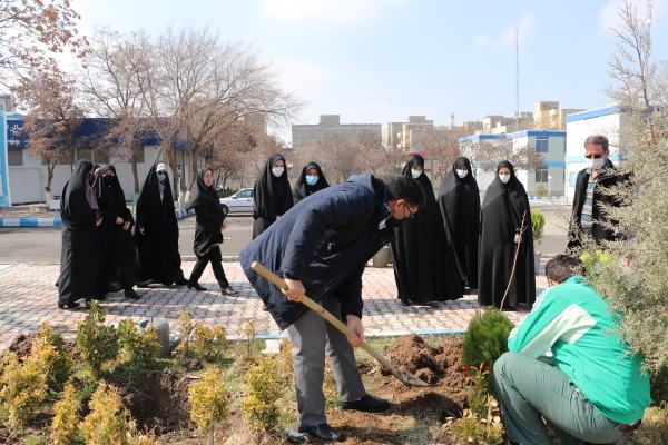 کاشت 19 نهال  به یمن وجود شهید گمنام 19ساله پردیس فاطمه الزهرا(س) 3