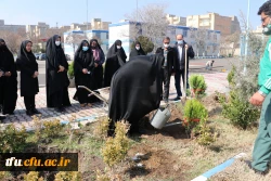 کاشت 19 نهال  به یمن وجود شهید گمنام 19ساله پردیس فاطمه الزهرا(س) 5