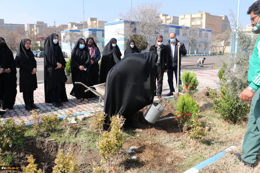 کاشت 19 نهال  به یمن وجود شهید گمنام 19ساله پردیس فاطمه الزهرا(س) 5