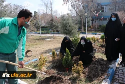 کاشت 19 نهال  به یمن وجود شهید گمنام 19ساله پردیس فاطمه الزهرا(س) 8