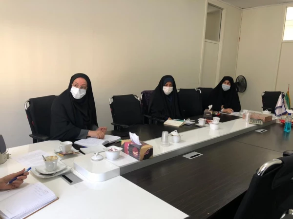 کارگروه تخصصی زنان با موضوع چالش ها و مسائل مربوط به حوزه بانوان و راهکارهای برون رفت در سطح ملی و استانی 5