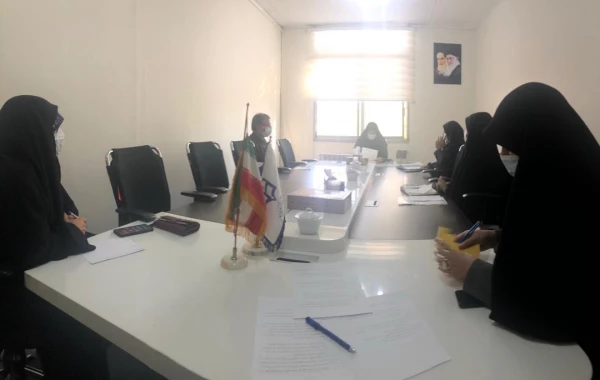 کارگروه تخصصی زنان با موضوع چالش ها و مسائل مربوط به حوزه بانوان و راهکارهای برون رفت در سطح ملی و استانی 6