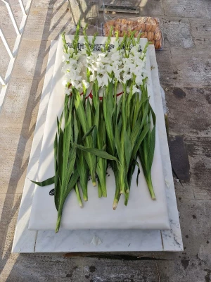 مراسم غبارروبی مزار شهید گمنام پردیس فاطمه الزهرا(س) تبریز 4