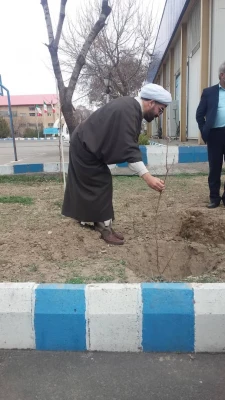 غرس نهال ایثار در پردیس فاطمه الزهرا(س) تبریز 4