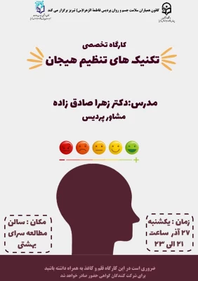 کارگاه تخصصی تکنیک های تنظیم هیجانات  4
