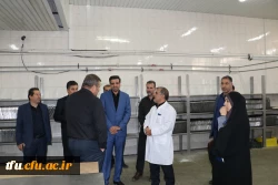بازدید رئیس و هیئت رئیسه دانشگاه فرهنگیان آذربایجان شرقی از سلف سرویس دانشگاه تبریز 3