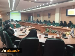 کارگاه استانی تبیین نظریه های شناختی دو زبانگی 6