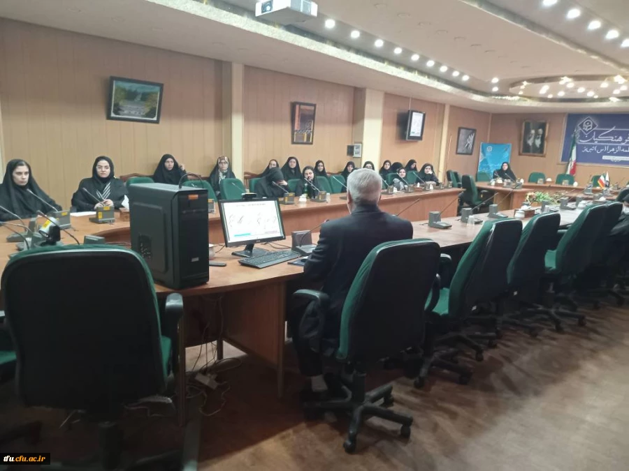 کارگاه استانی تبیین نظریه های شناختی دو زبانگی 8