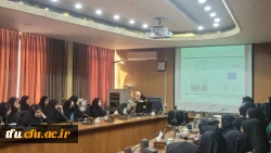 کارگاه استانی طراحی آموزشی مبتنی بر الگوی آموزشی مریل 6