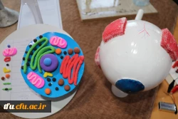 نمایشگاه استانی تولید محتوا و دست سازه های ریاضی و زیست و فیزیک و شیمی 24