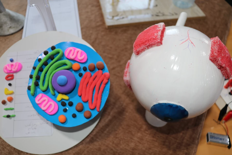 نمایشگاه استانی تولید محتوا و دست سازه های ریاضی و زیست و فیزیک و شیمی 24