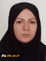 معرفی همکاران 2