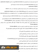 معرفی ریاست پردیس فاطمه الزهرا(س) تبریز 2