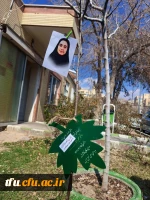 درختکاری در آسایشگاه نخاعی جانبازان 3