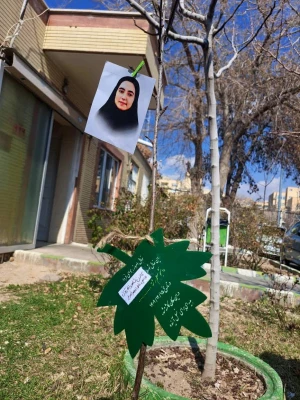 درختکاری در آسایشگاه نخاعی جانبازان 3